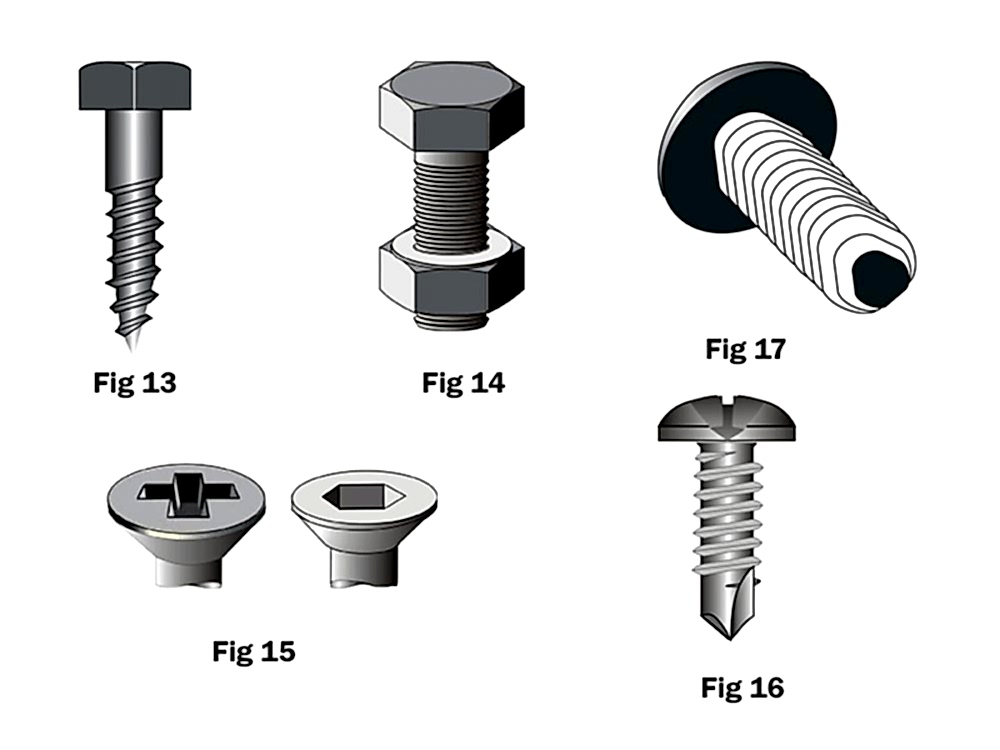 Vida olmasaydı ne olurdu?